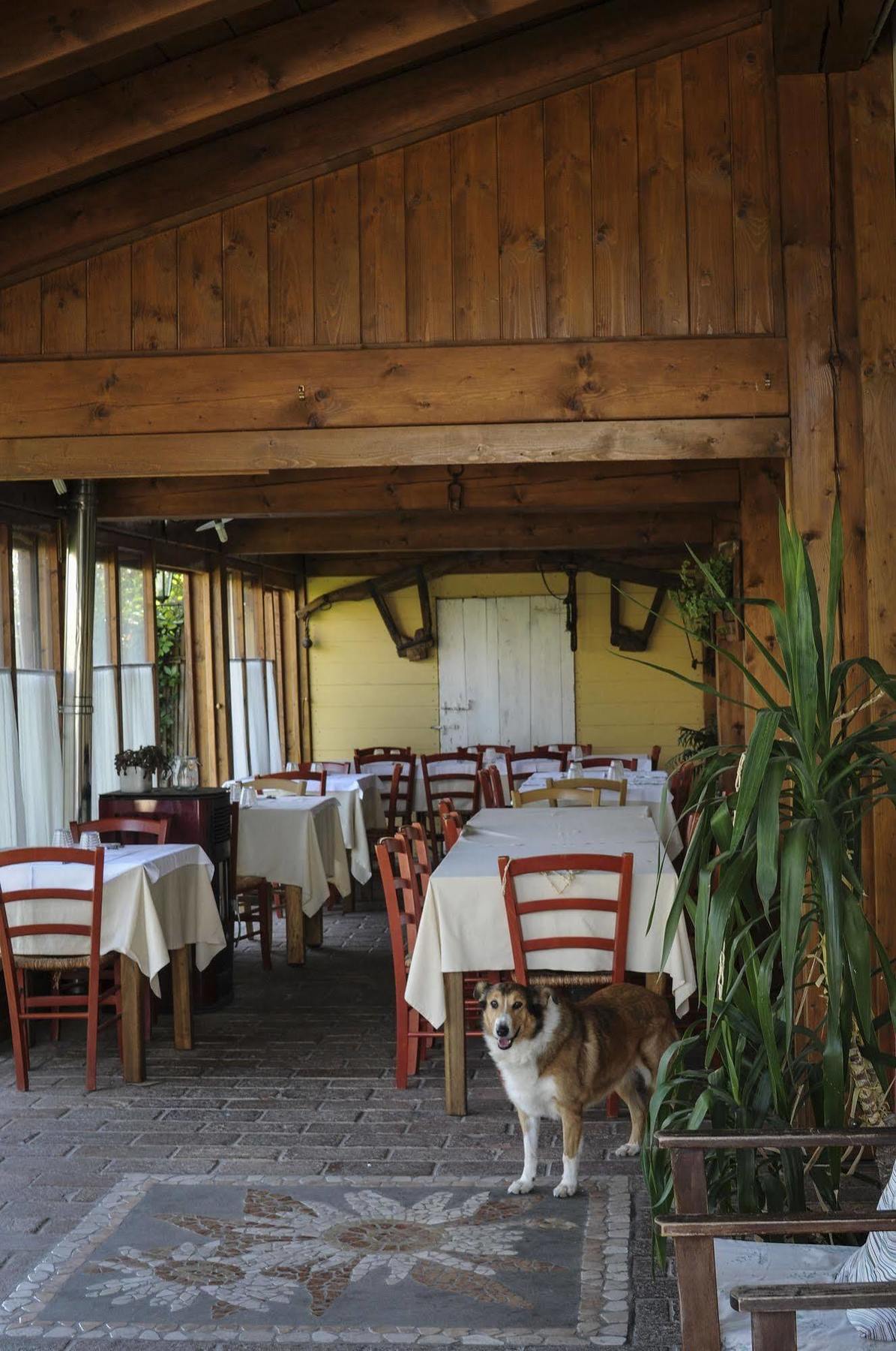Locanda Merlaschio Фаэнца Экстерьер фото